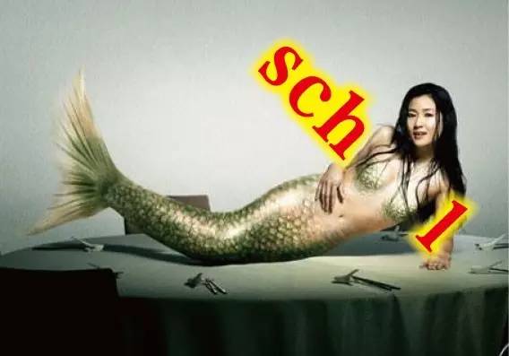 小学生量词常识,关于量词的知识