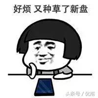 四海八荒中的小仙女,四海八荒的仙女