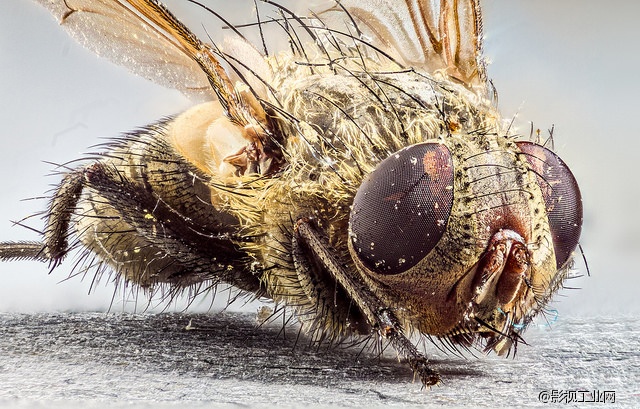 超级微距35倍,能用软件实现超级微距吗