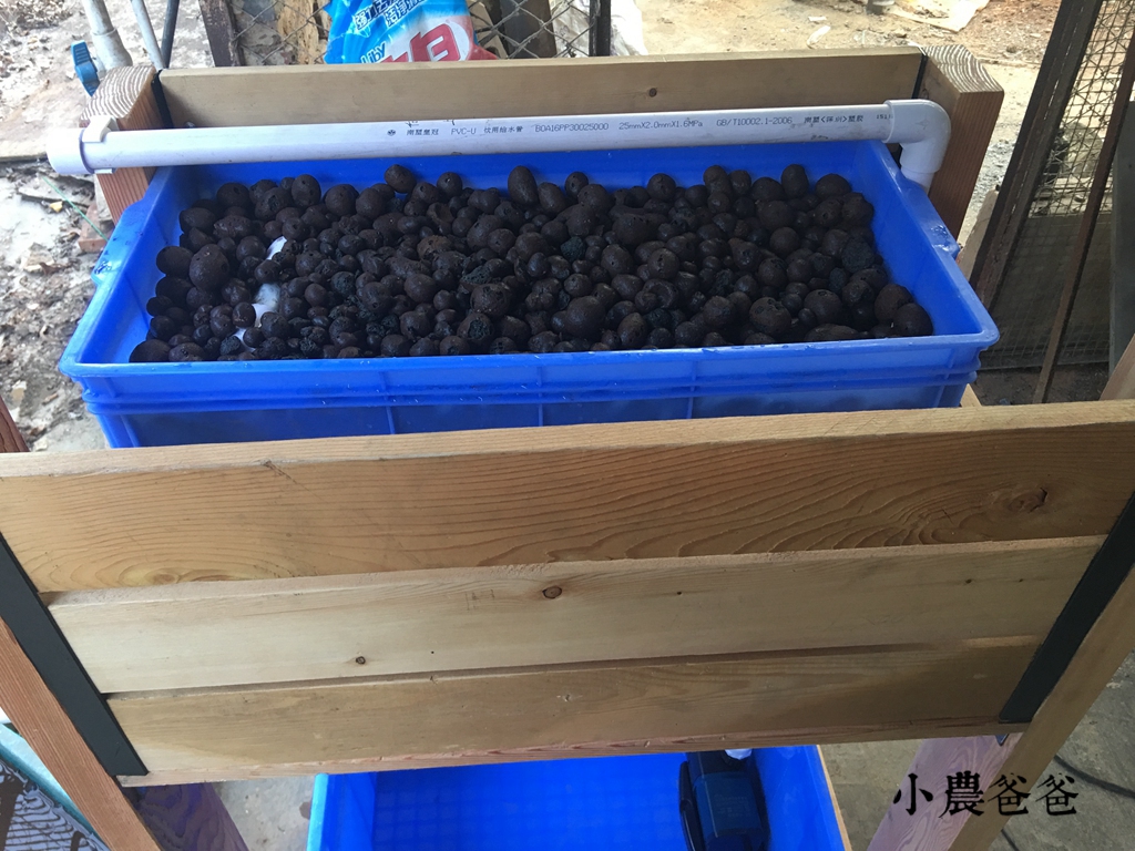 专业鱼菜共生系统设计,自制鱼菜共生系统设计