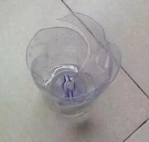 三件家用之物，台长教你八步法“高压”大苗，可当年观花当年吃果