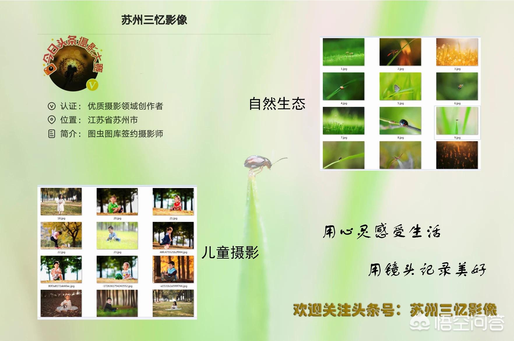 尼康d300s单反相机,尼康d300s照片欣赏