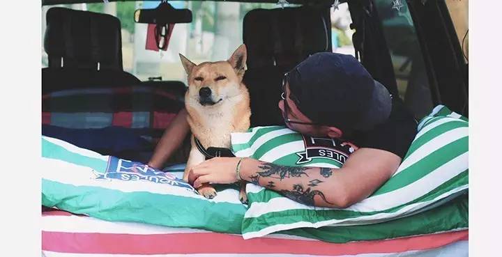 我素质差,我不骂你是因为我素质比你高