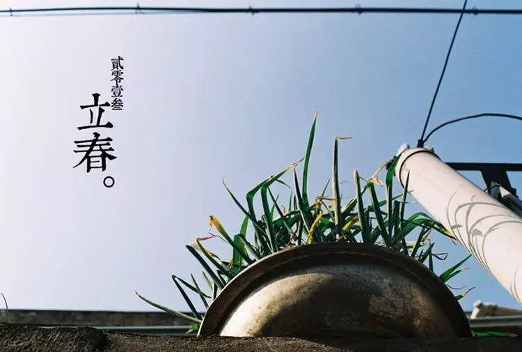 立春节气早安图片,立春美景图