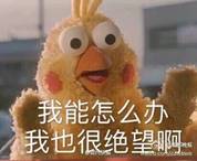 能完成80%种妆容的新手眼影盘推荐,适合新手的眼影盘一盘多用