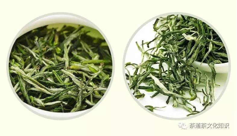 率土之滨庐山云雾茶,庐山云雾茶功效作用