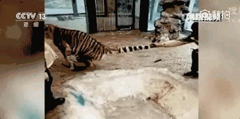 今日早新闻来了,早啊新闻来了语音播报