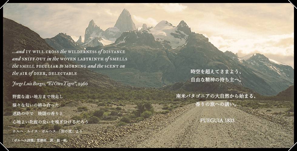 玉兰乌龙茶凤梨酥,天福蔓越莓凤梨酥金萱乌龙茶