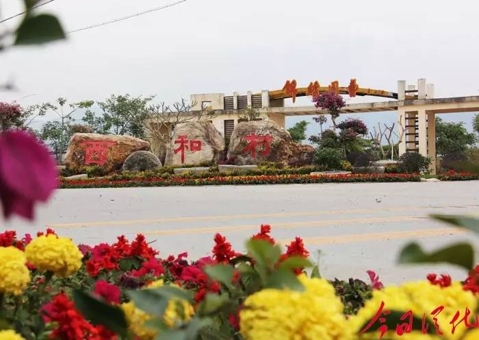 今日关注｜您好我叫从化，这是我的最新简历