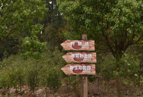 瀹炲脊鐙╃寧鏃呮父,鍥藉唴鐙╃寧涔嬫梾