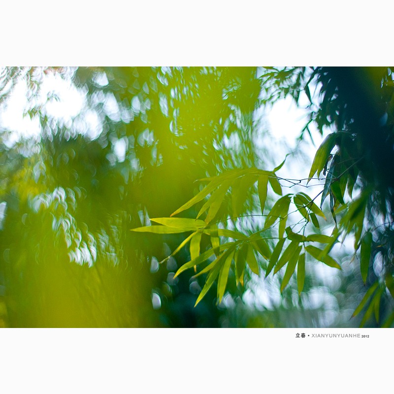 立春节气早安图片,立春美景图