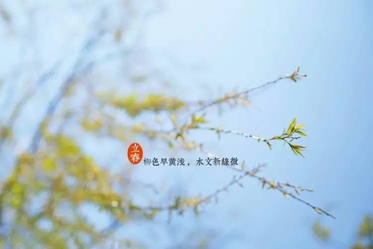 立春节气早安图片,立春美景图
