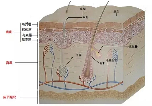护肤品销售套路有哪些,护肤品套路骗局有哪些呢