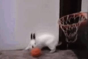 八大洲最近的消息,八大洲的排行