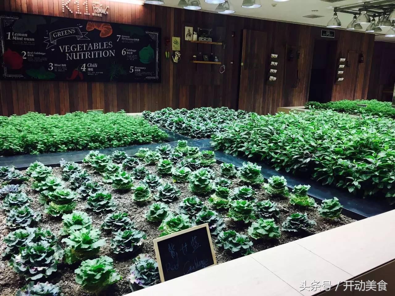 维密超模来中国,维密天使来中国