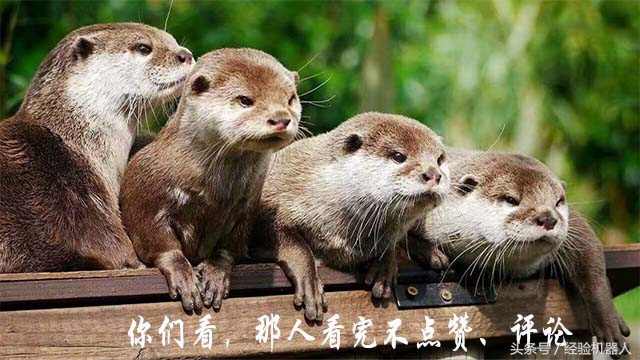 wifi密码被锁住了怎么办,wifi密码被锁了