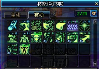 dnf极武圣95加点,dnf极武圣100级