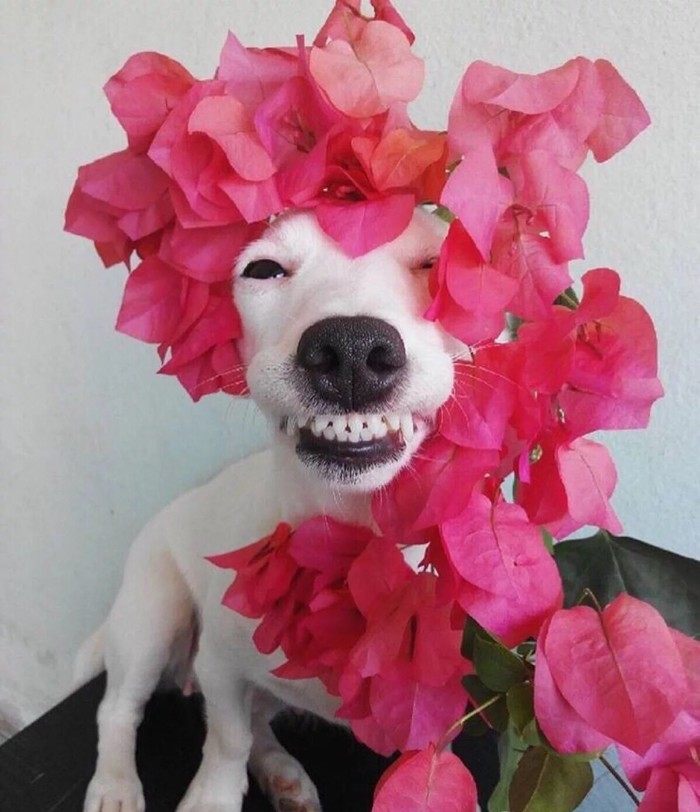 减轻包包重量，一个彩妆盘帮你搞定！