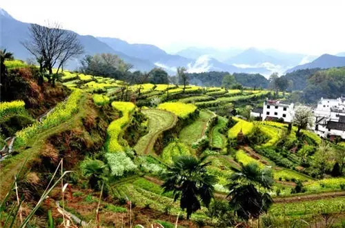 安徽宏村古镇有什么好吃的,黟县宏村旅游必备美食有哪些