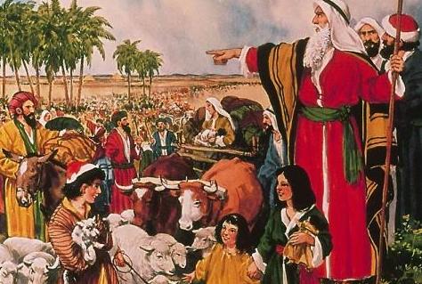 人类历史上干过的十二大蠢事，三分钟快读《权力的任性》