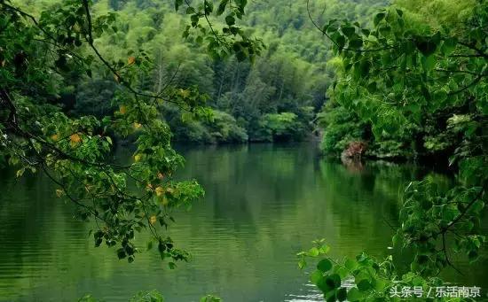 江宁感悟,近些年来南京市江宁区巨变成就