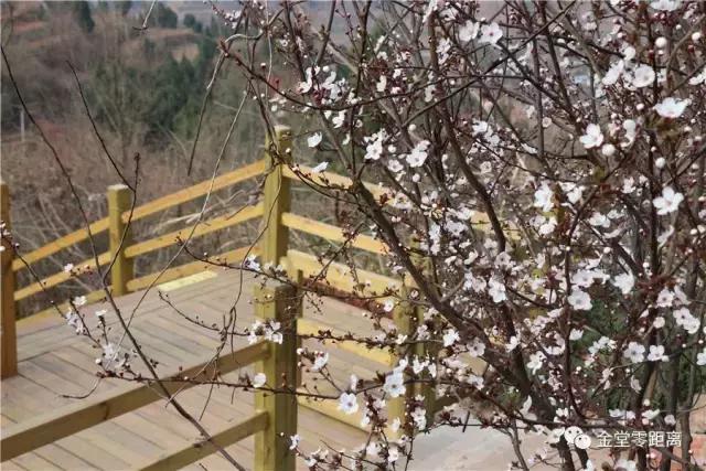 金堂官仓玉皇山门票免费吗,金堂官仓玉皇山养生谷