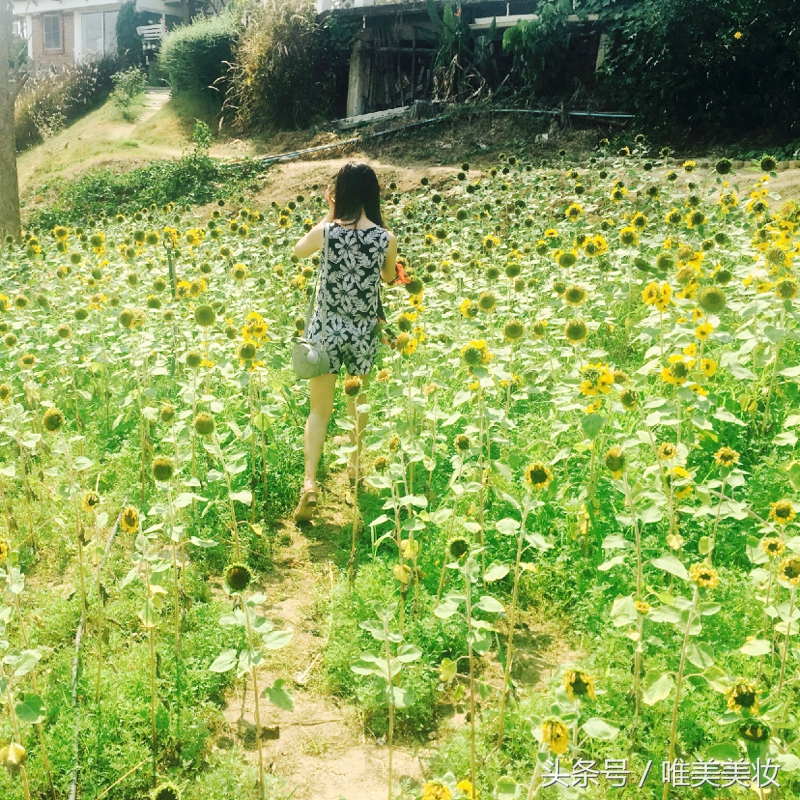 日本药妆店必买清单纳豆,日本药妆店必买护肤品排行榜