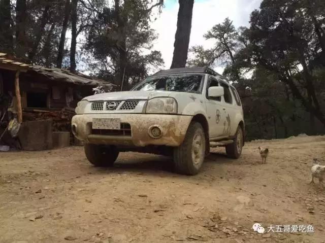帕拉丁适合年轻人的硬派越野,硬派越野帕拉丁