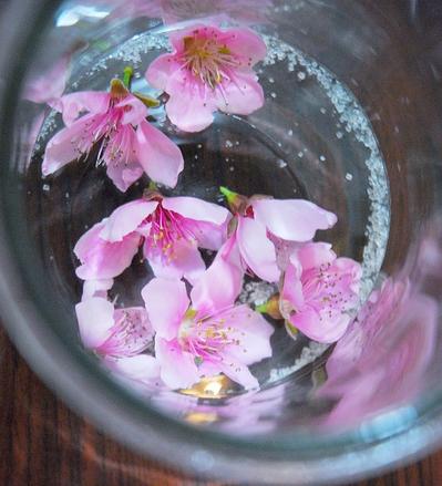 自己学酿纯粮食酒,自己学调酒好学吗