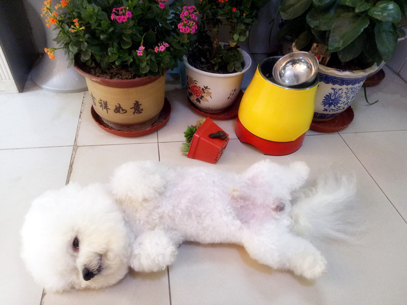 当我抬脚正要进屋时，目光突然被脚下一块顶门砖吸引了！