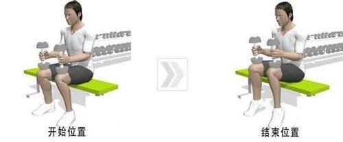 常见的小腿肌肉,怎样锻炼小腿腿部肌肉