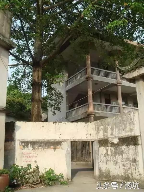 第二故乡乡愁,第二故乡情浓浓