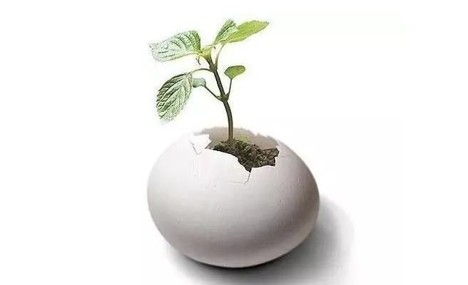 “大单品营销模式”来啦！