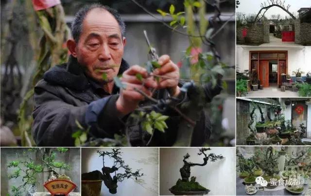 这里的春天最美丽歌词 (这里的春天最美丽)