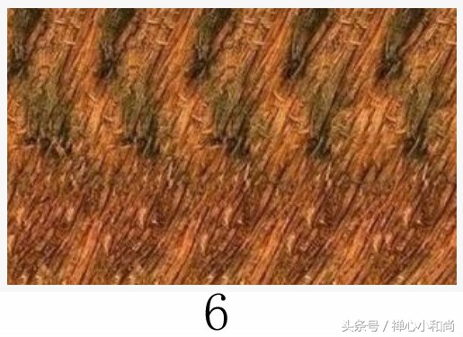 最强大脑小四道歉完整版,最强大脑小四和魏教授吵架