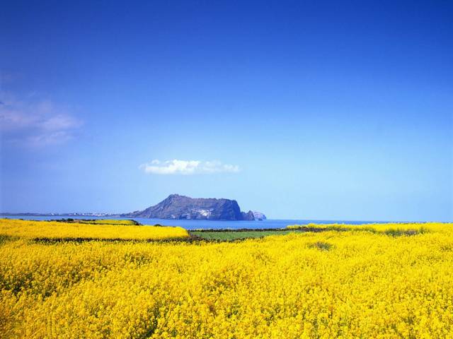 韩国济州岛4天5夜浪漫之旅,韩国首尔半自助游
