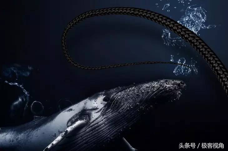 鍒拰鎴戞壇,鎵笉涔辨暟鎹嚎