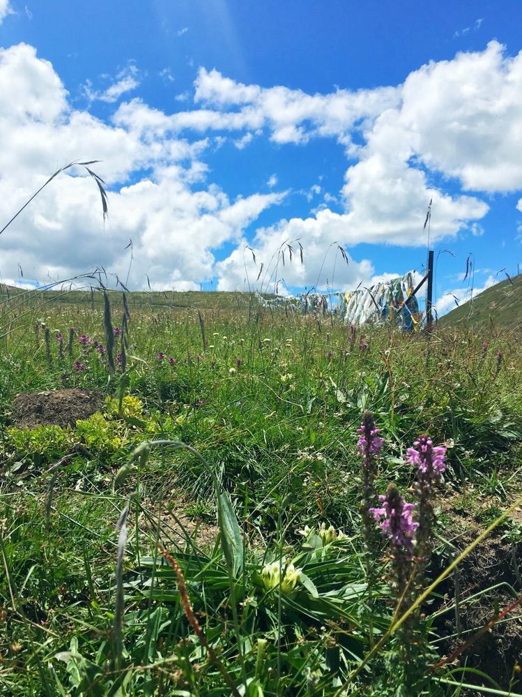 成都到青海湖最佳路线,成都去青海湖怎么去