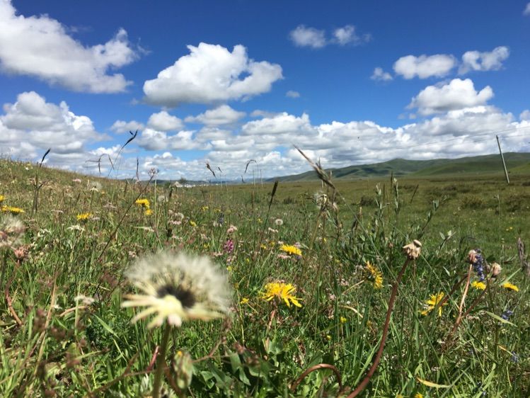 成都到青海湖最佳路线,成都去青海湖怎么去