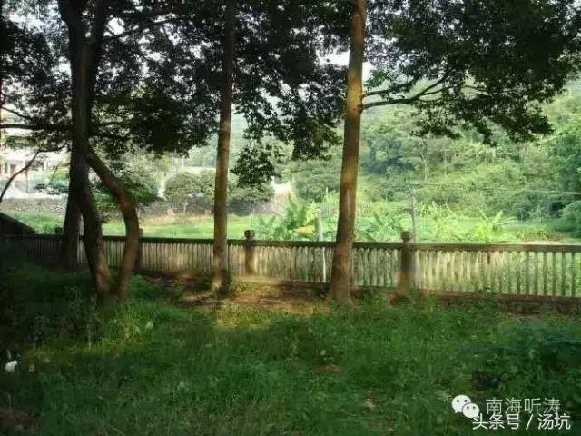 第二故乡乡愁,第二故乡情浓浓