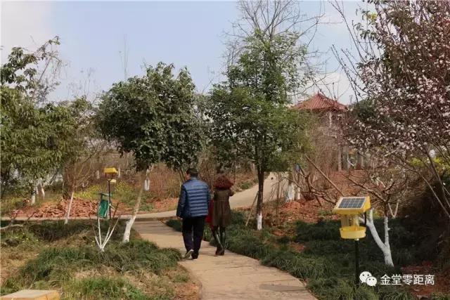 金堂官仓玉皇山门票免费吗,金堂官仓玉皇山养生谷