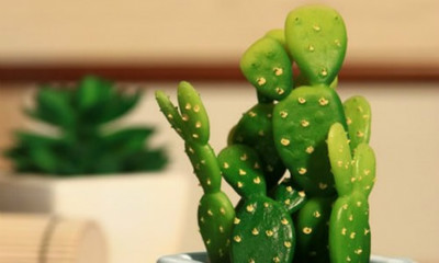 牙痛立马见效的方法,牙痛用什么简单方法让牙不痛