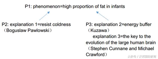 快读阅读方法,快读提高阅读能力