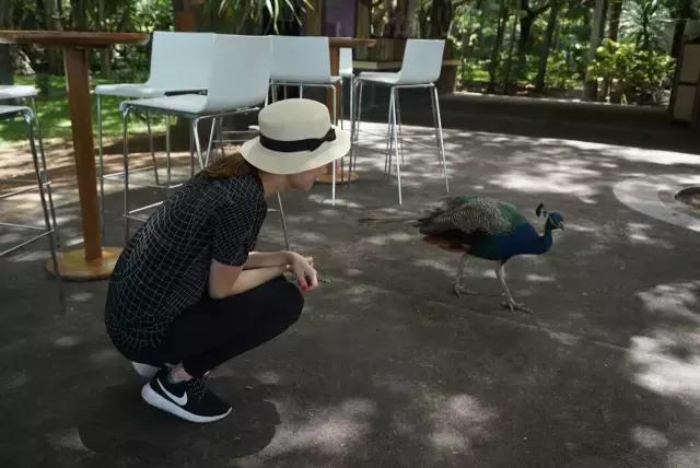 毛里求斯，拿水壶换保时捷的天堂