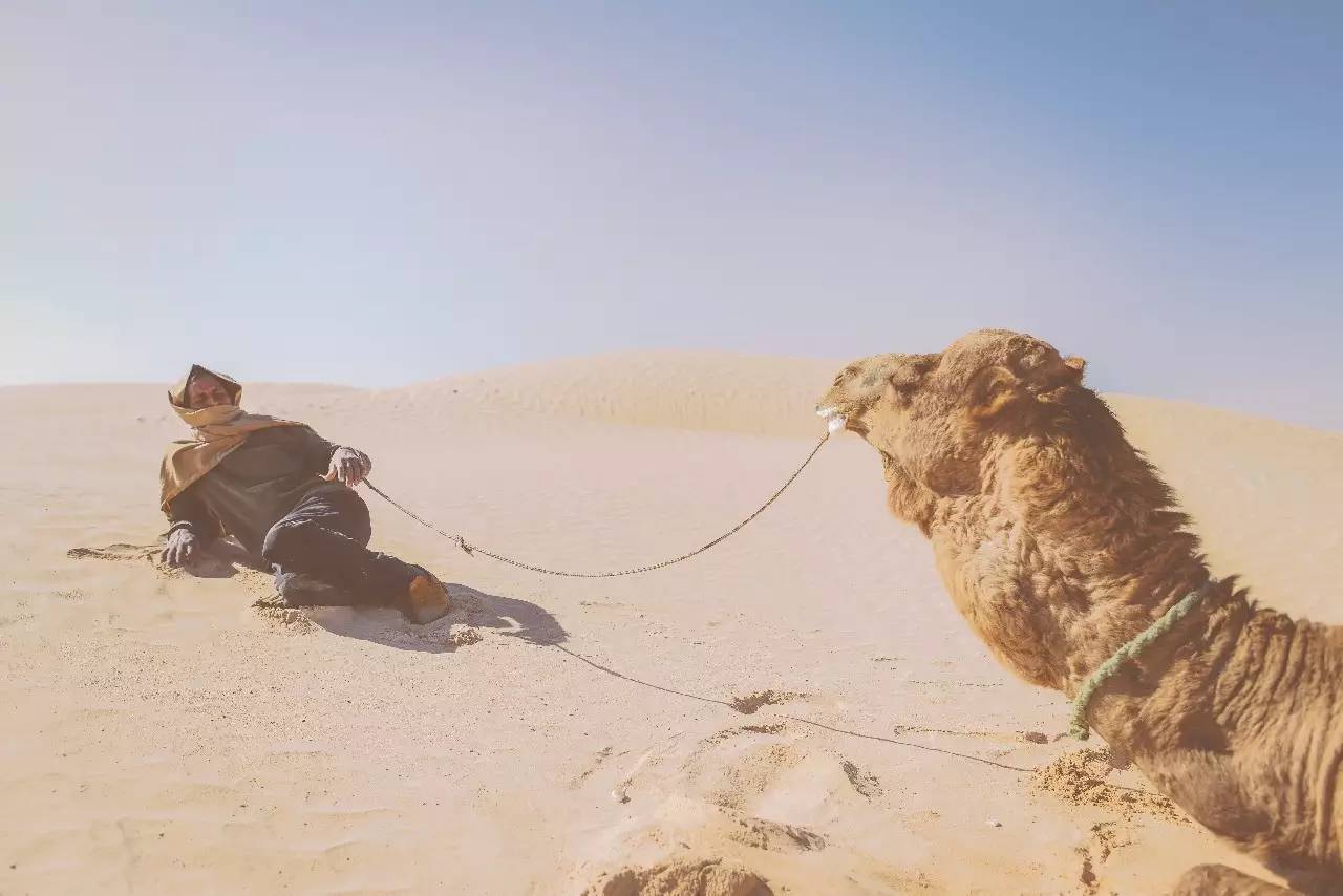 突尼斯免签国家名单,突尼斯又免签了吗