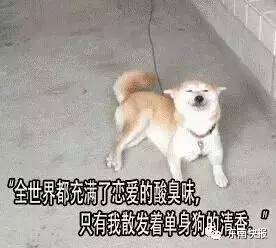 福州30岁剩女,福州厦门剩女很多吗