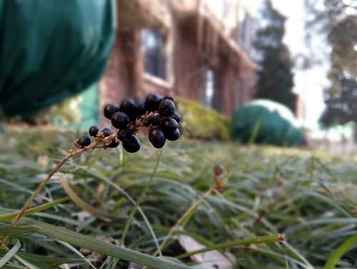 金立双摄s9怎么样,金立最新款测评