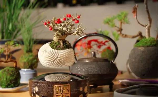 磁悬浮高铁运用什么科技,磁悬浮可以用高铁轨道吗