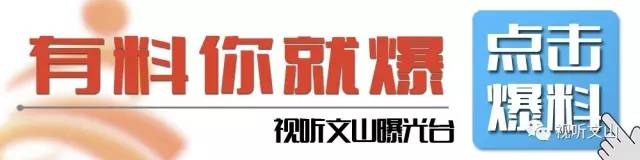 文山先心病16次义诊,回访患者视频