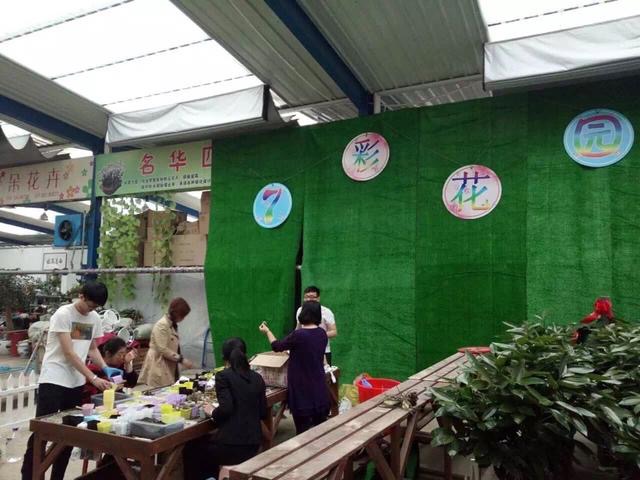 怎么开多肉植物店,多肉植物实体店开店流程